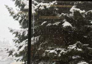 Watching the snow outside my window