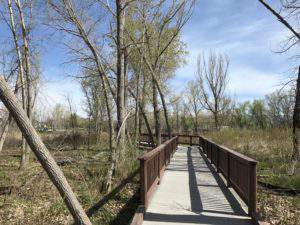 Spring on the Jordan River Parkway