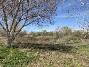 Jordan River Parkway, Murray, Utah