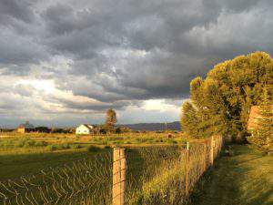 Storm clouds gather