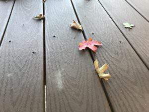 Signs of fall at Hawkes Landing