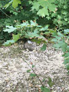 Hawkes Landing visitor