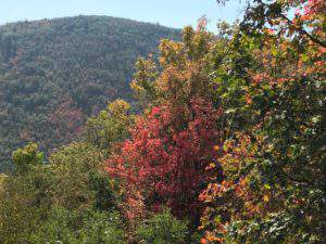 Fall spectacular at Hawkes Landing