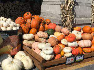 Friday favorites: pumpkin, beautiful pumpkin