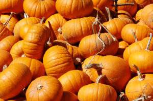 The amazing versatile pumpkin, a true super food