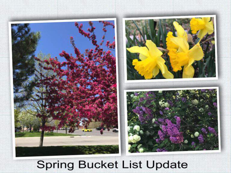 Spring bucket list update #2
