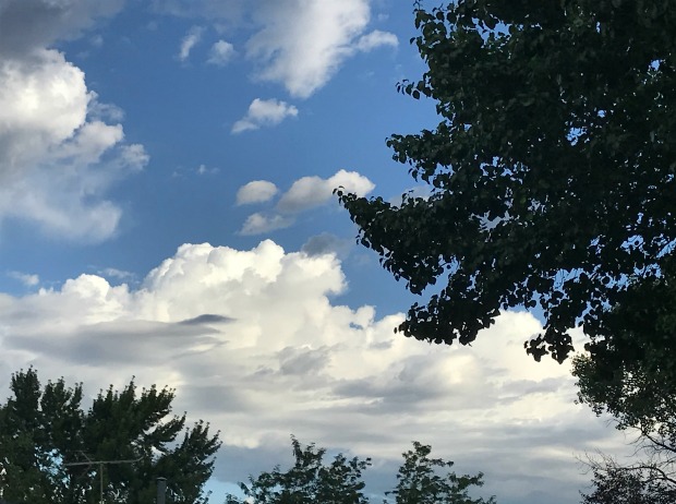 Clouds and trees.