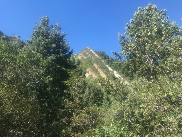 Neffs Canyon Trail in Utah.