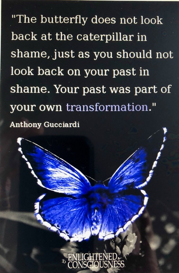 The butterfly does not look back at the caterpillar in shame.