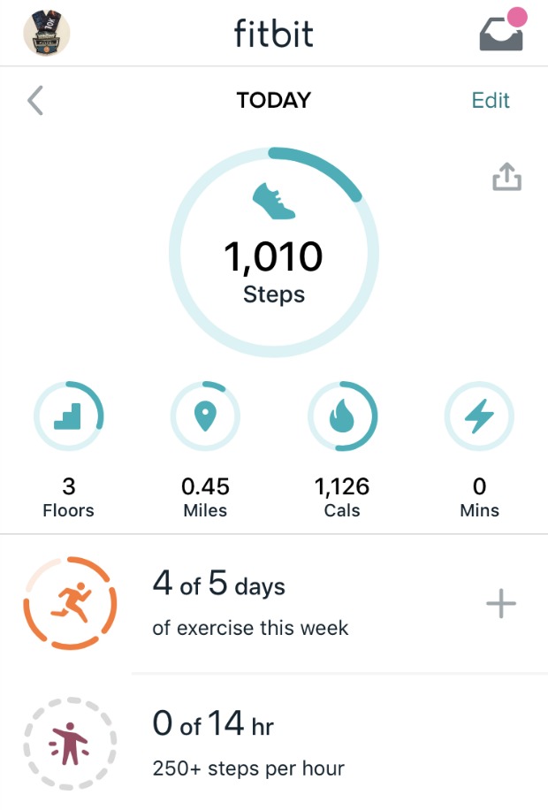 Fitbit 1,010 steps.