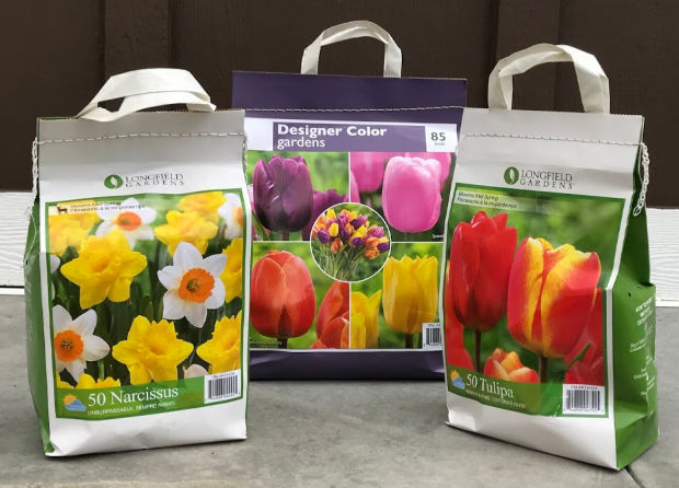 Three bags of tulip and daffodil bulbs.