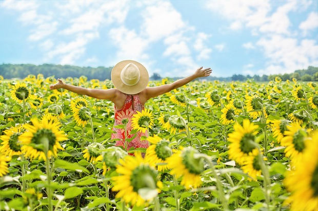 Woman in field of sunflowers.