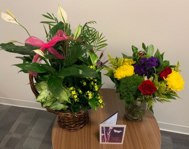 Sympathy plant and flowers.