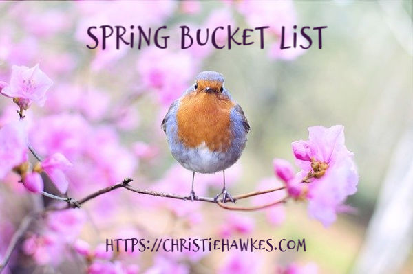 Spring 2020 bucket list – final report