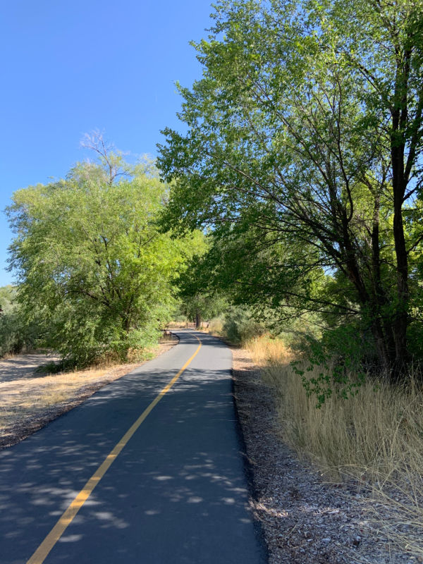 A wooded trail.