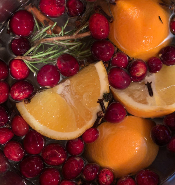 Orange cranberry potpourri.