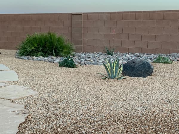Xeriscape with desert plants and rocks.