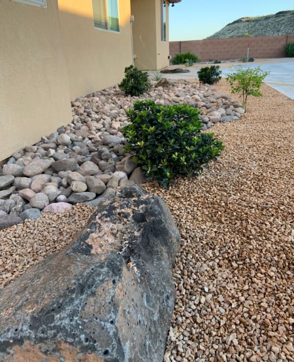 Xeriscape landscaping.