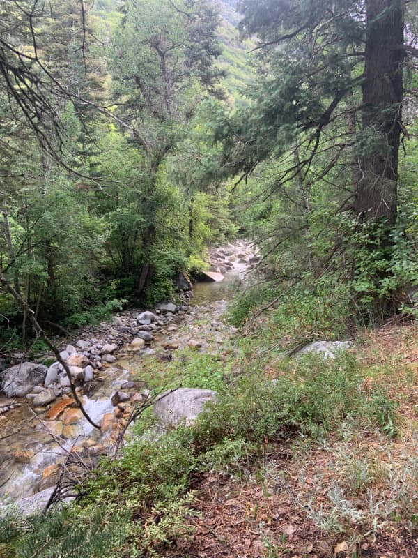 Little Cottonwood Trail in Utah.