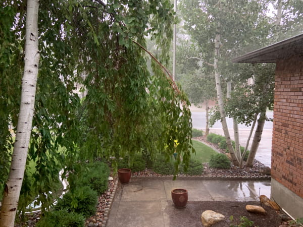 A heavy rain storm as seen from someone's front door.