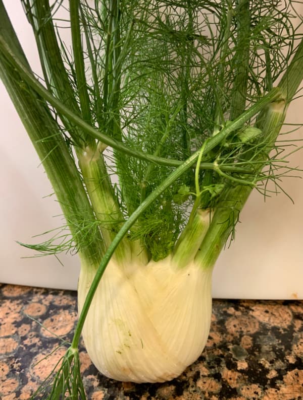 Fennel.