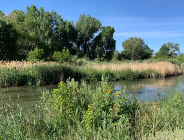 Little Confluence Trail and the Jordan River.