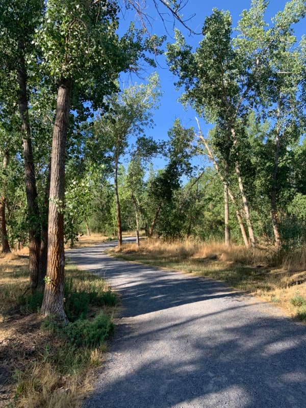 Little Confluence Trail.