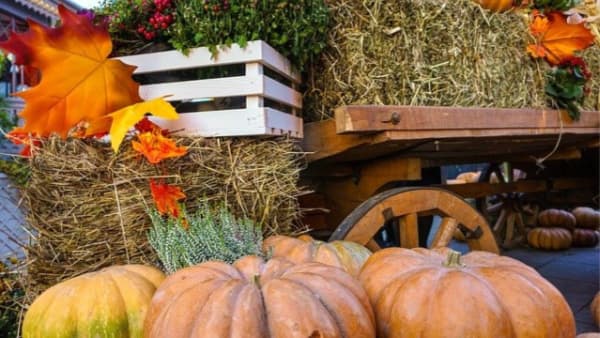 Hay bales, fall leaves, and pumpkins.