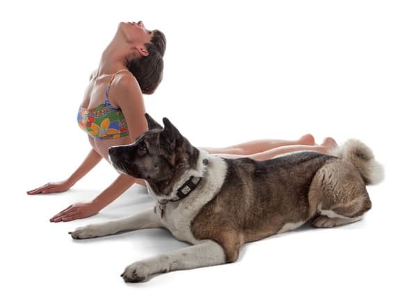 Woman and a dog doing yoga.