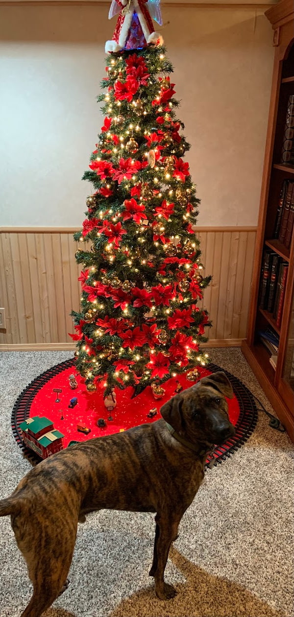 A dog standing in front of a Christmas tree.