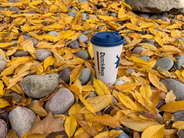 Dutch Bros. coffee in a background of fall leaves and rocks.