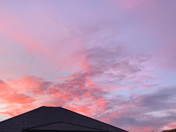 Pink sunset.