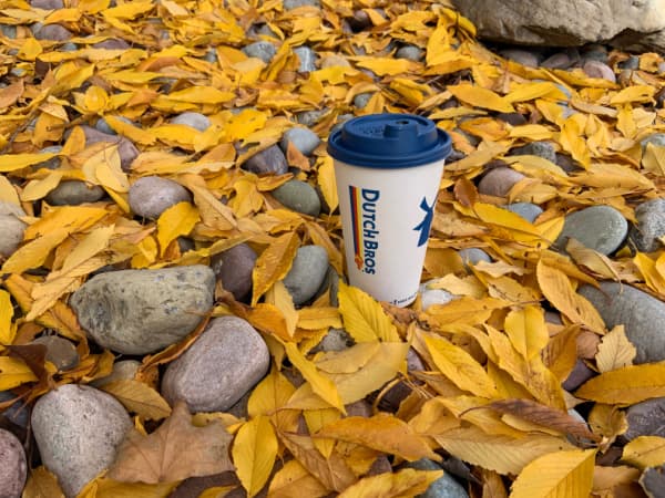 Dutch Bros coffee cup in fall leaves.