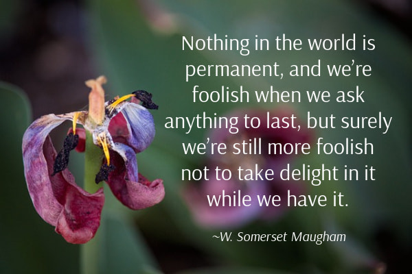 Nothing in the world is permanent, and we're foolish when we ask anything to last, but surely we're still more foolish not to take delight in it while we have it.