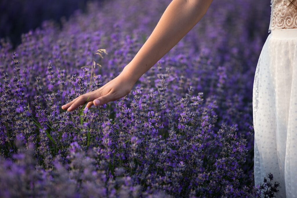 Woman in a lavender field.