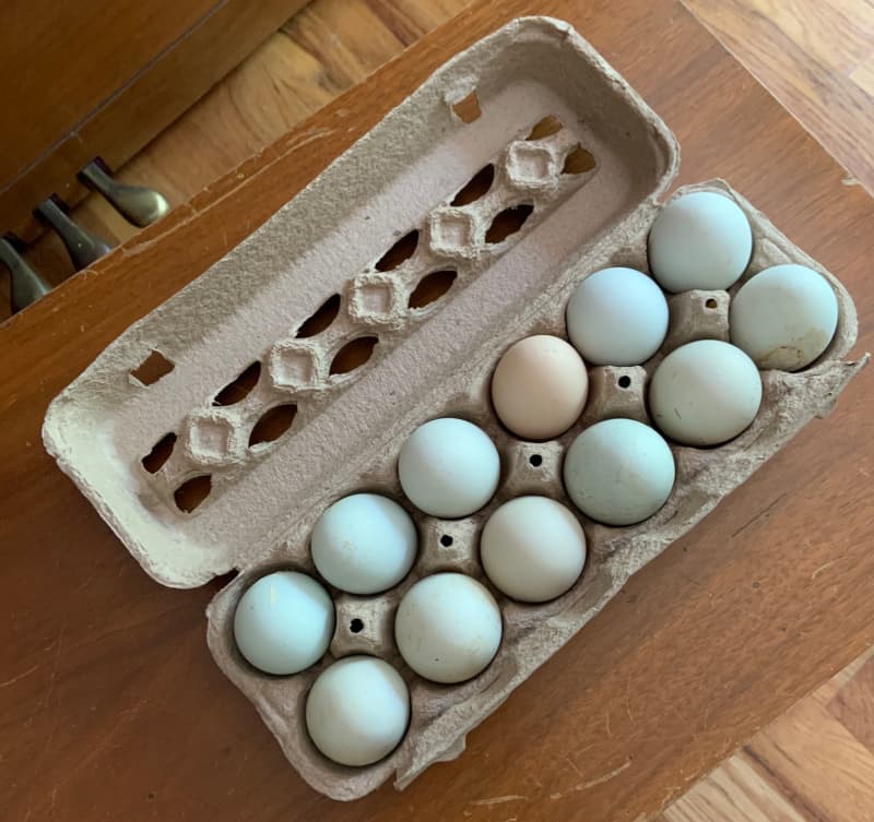 Farm-fresh eggs.