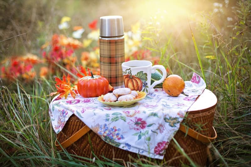 Fall picnic.