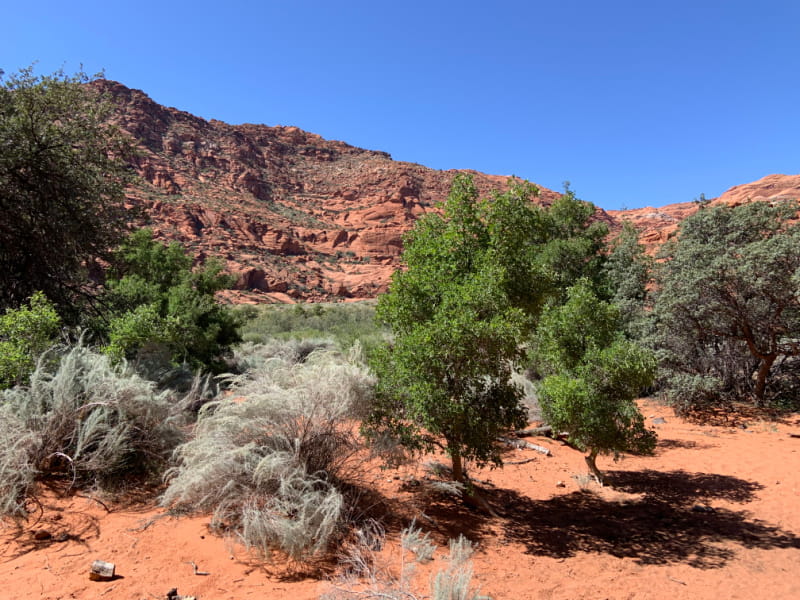 Snow Canyon State Park.