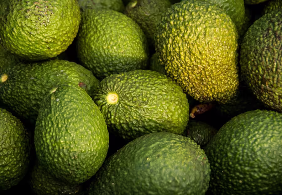 Avocados.