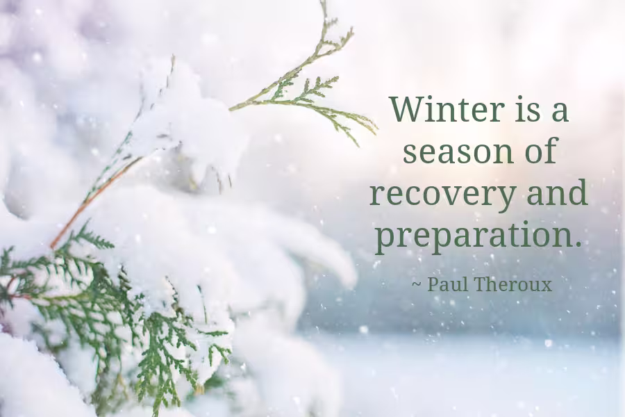Winter is a season of recovery and preparation. Paul Theroux.