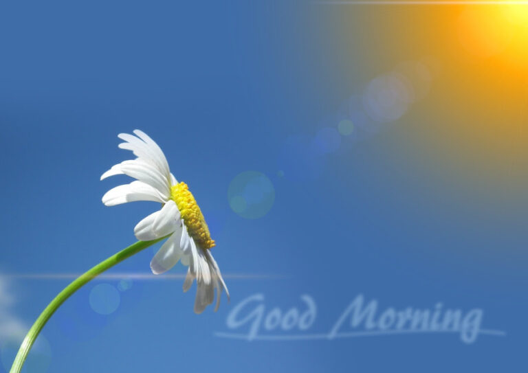 Good morning.