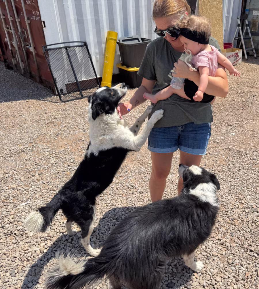 Lady and baby with two dogs.