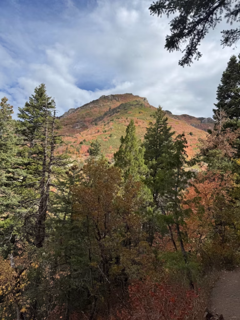 Desolation Canyon Trail in Millcreek Canyon, Utah.