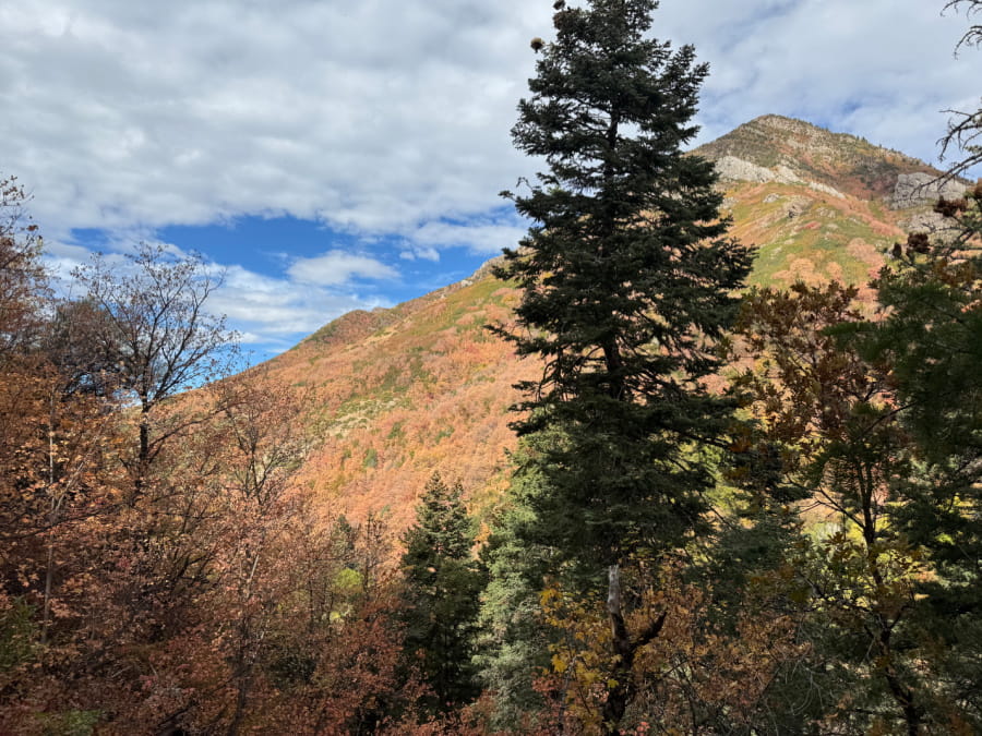 Desolation Canyon Trail in Millcreek, Utah.