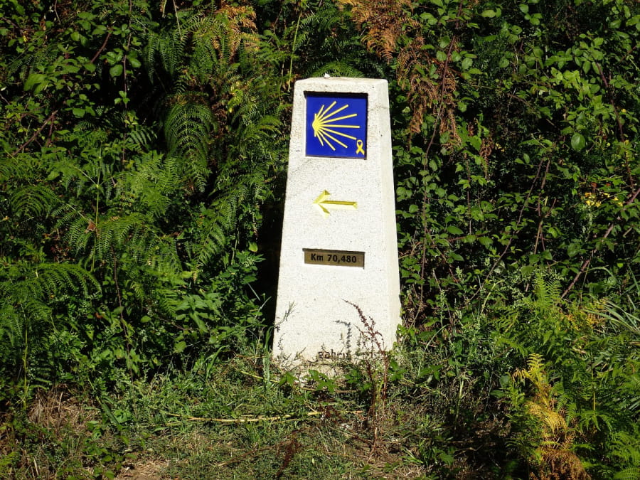 A Camino de Santiago marker.