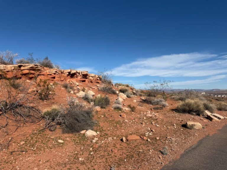 A desert walking trail in Southern Utah.