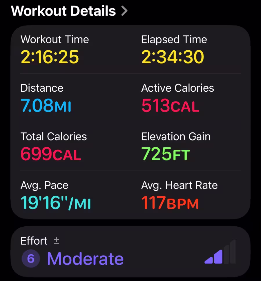 Apple Watch workout details.