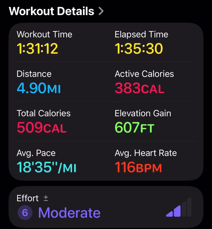 Apple Watch workout details.