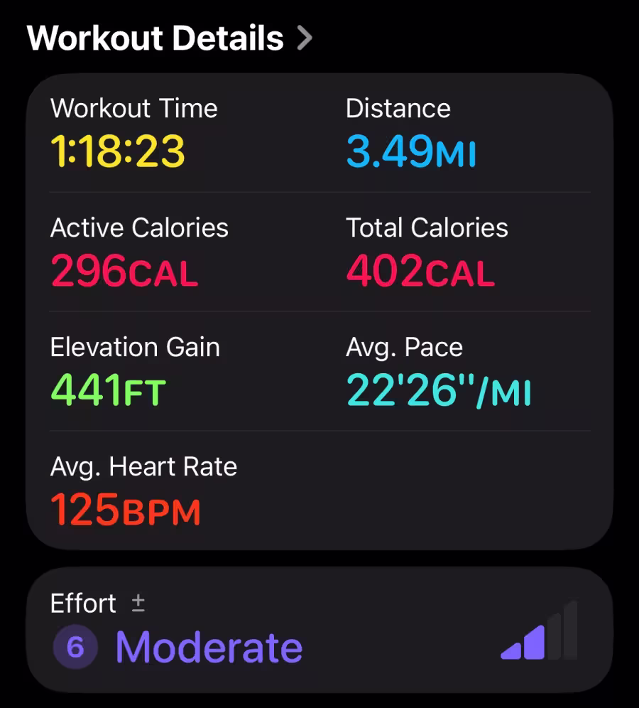 Apple Watch workout details.