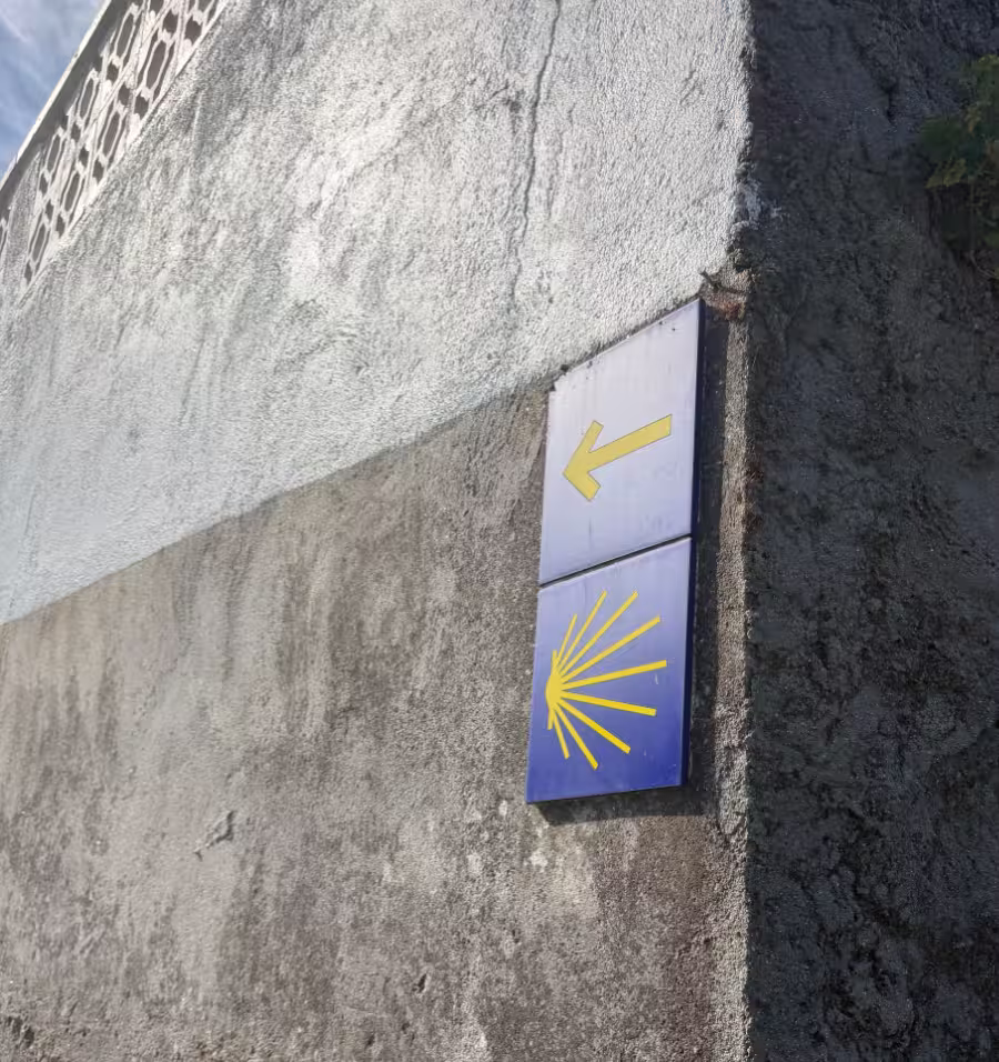 Camino arrow and shell.